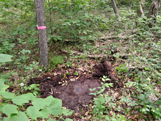 Eyelevel view of the disk on the outcrop.