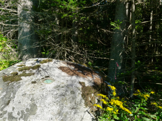 Eyelevel view of the disk on the boulder.