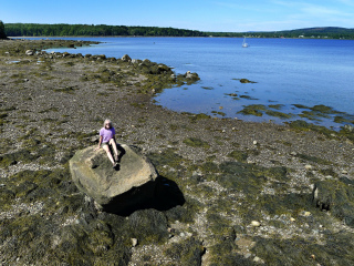 The boulder is prominent on the beach at low tide.