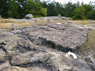 Looking ESE toward the station (near the cairn).