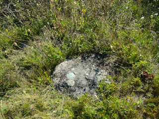 Eyelevel view of the station disk on the rock outcrop.