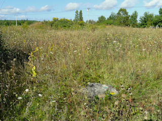 Looking ENE toward Caterpillar Hill Rd.