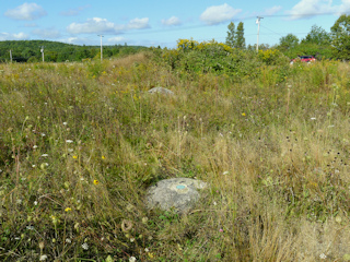 Looking NE toward Caterpillar Hill Rd.