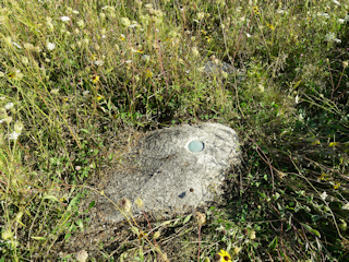 Eyelevel view of the reference mark disk on the outcrop.