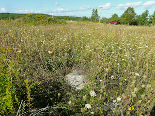 Looking NE toward Caterpillar Hill Rd.