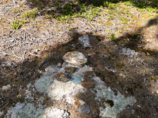 Eyelevel view of the disk on the small outcrop.