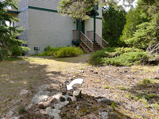 Looking W toward the cottage.