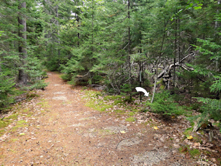 Looking approximately N on the unmarked trail/road.