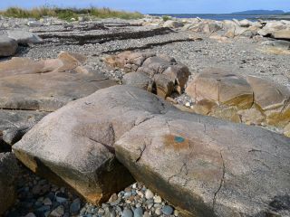 Eyelevel view of the disk on the large rock outcrop.