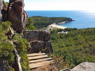 A wooden bridge and some rungs