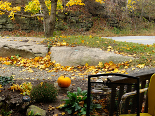 Looking NW from the porch of the house.