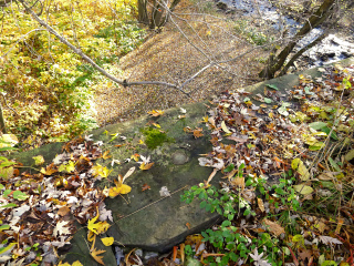 Eyelevel view of the disk on the bridge.