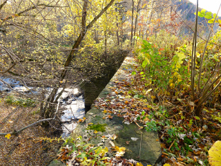 Looking toward the S end of the bridge and Buttermilk Creek.