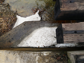 The lower shelf is still covered with ice and snow.