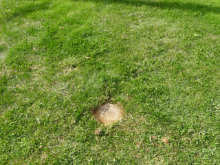 Eyelevel view of the disk in the monument, flush with the ground.