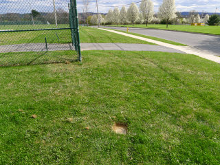 Looking S toward Meyer Ln. and former location of RM 1.