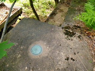 Eyelevel view of the disk on the abutment.