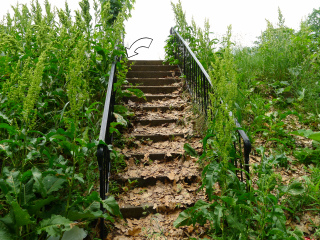 Looking up from the bottom of the steps