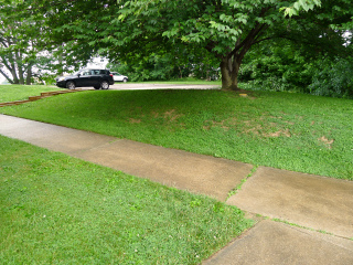 Looking NE toward the approximate location of the old water tank.