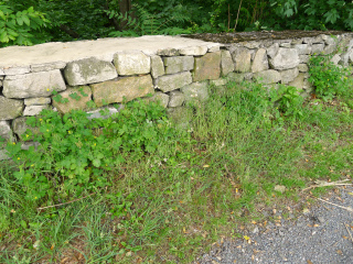 Could RM 1 be here, beneath the weeds and gravel?