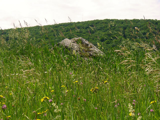 36 M—Could this be the boulder?