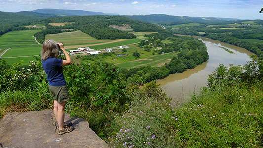 Looking toward French Asylum