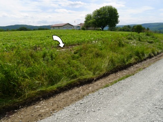 Looking SE from Homets Heights Rd. toward the marks (indicated) and the man’s house.