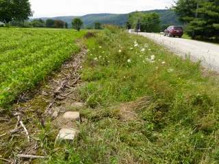 Looking south along Homets Heights Road