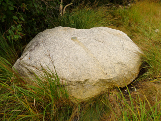 Eyelevel view of the disk on the large boulder.