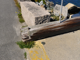 Eyelevel view of the disk set in the concrete pier.