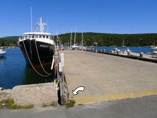 Looking NE along the dock and out toward the harbor.