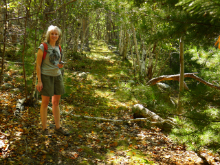 The bicycle path heads off into the woods.