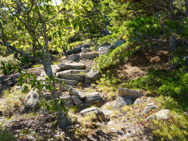 Beautifully constructed steps along the Upper Ladder Trail