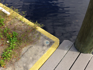 Eyelevel view of the disk on the corner of the seawall.