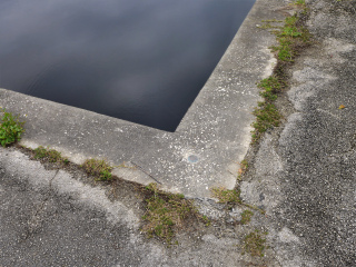 Eyelevel view of the disk on the corner of the seawall.