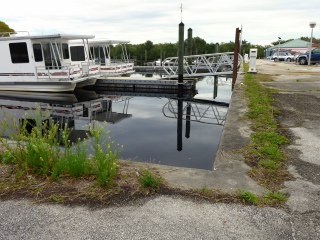 Looking E toward the marina store.