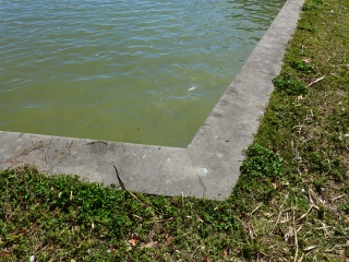 Eyelevel view of the disk on the corner of the seawall