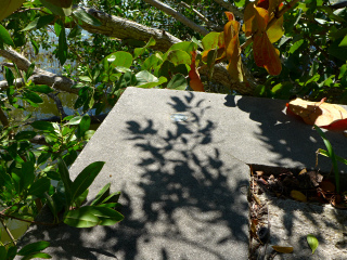 Eyelevel view of the disk on the corner of the seawall