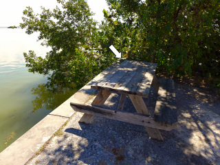 Looking S from the far south end of the patio area by the visitors center