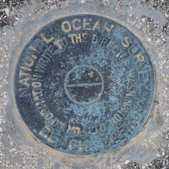 Florida DNR Bench Mark Disk 872 4375 F TIDAL