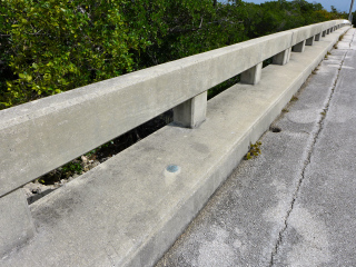 Eyelevel view of the disk on the bridge curb