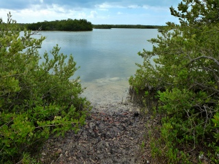 Looking toward site of NGS Triangulation Station BUNCH