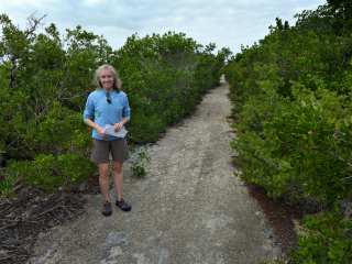 The azimuth mark might be somewhere down this old road.