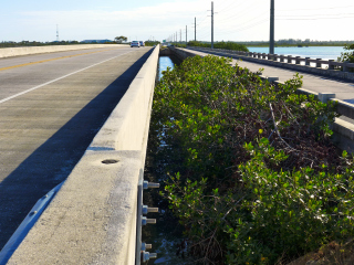 Looking NE along the current highway bridge.