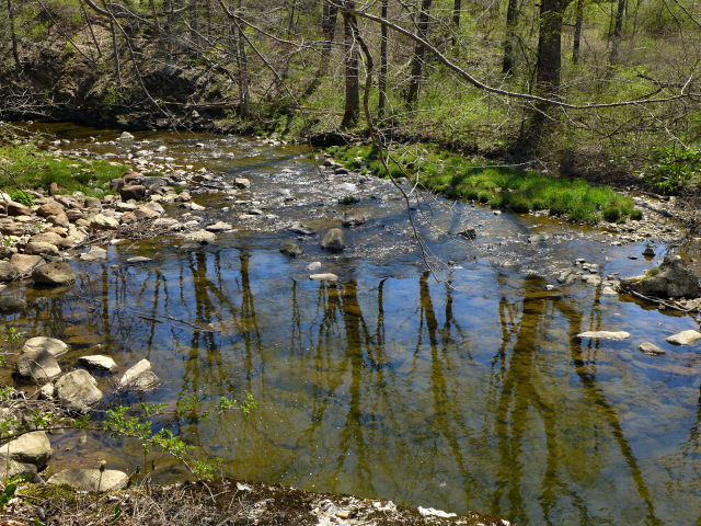 A peaceful scene along Bushkill Creek