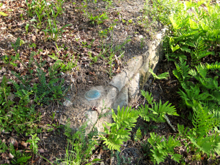 Eyelevel view of the disk on the culvert headwall.