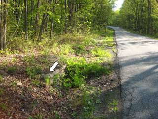 Looking NE along N. Old Turnpike Rd. Mark indicated.