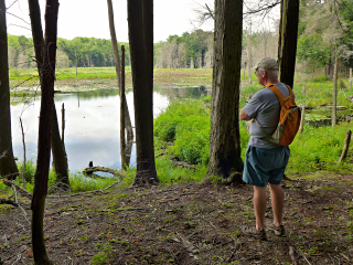 Dad ponders the pond's eventual transformation into a bog