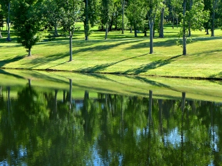 Reflections on the pond