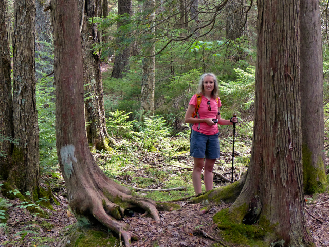 Along Eagle Lake Carriage Road